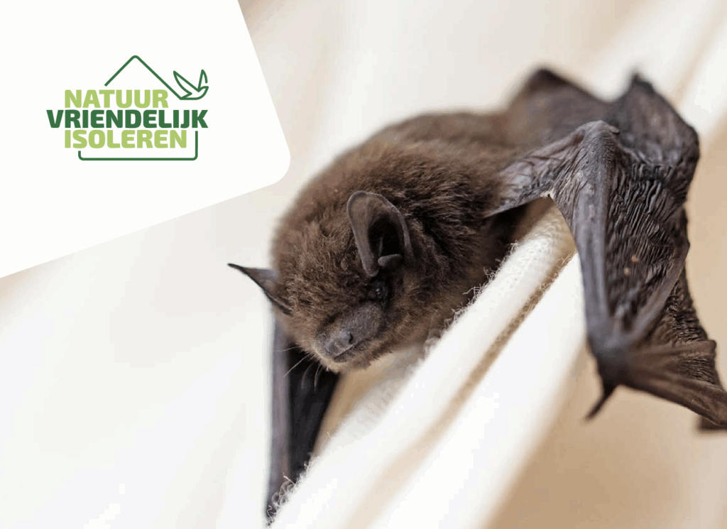 Natuur vriendelijk isoleren